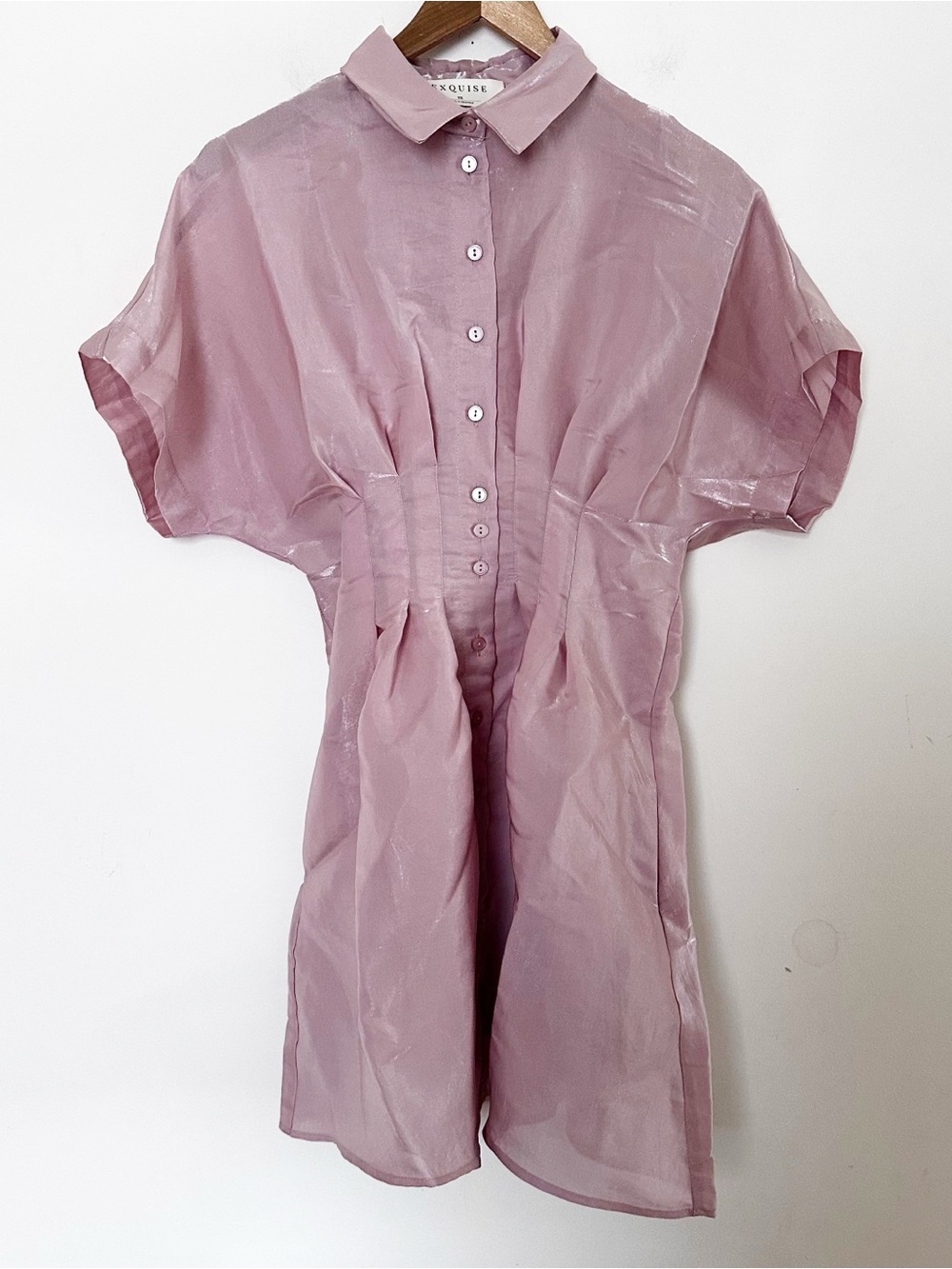 Anthropologie Tobie Organza Mini Shirtdress by Exquise - Picture 4 of 11